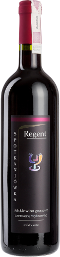 wino regent 2015